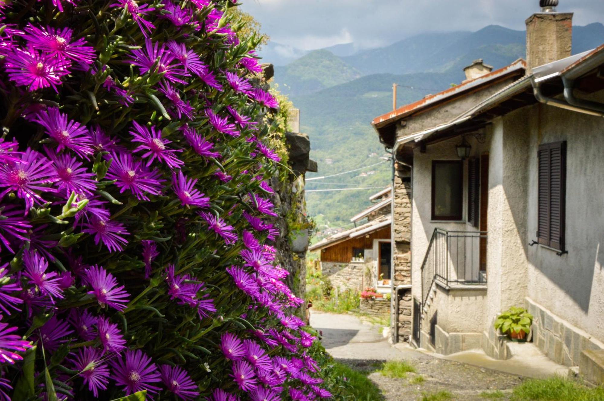Chalet In Pietra E Legno Con Caminetto Inverso Pinasca Exterior foto
